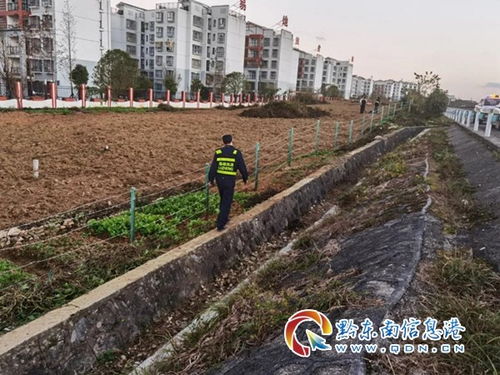 无知 丹寨县一村民在高速公路用地违法种植蔬菜,最终被教育整改