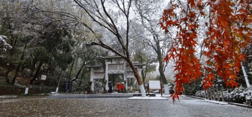 襄阳下雪了,这些美景不可错过