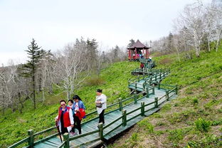 凤凰山传奇,凤凰山传奇——探寻神秘的山川传说