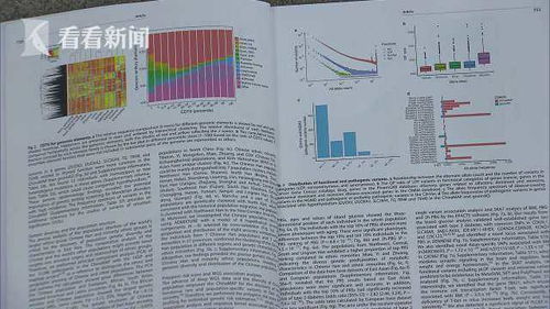 查重率变化对学术期刊的影响分析