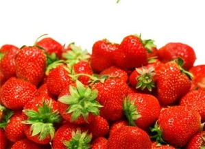 关于草莓白玉的诗句