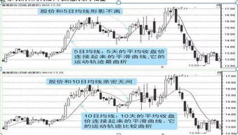 为什么股市中的均线（如5日均线、十日均线等）很重要？它是如何发挥指标作用的？