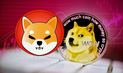 柴犬币的今日价格,shiba inu 最新行情