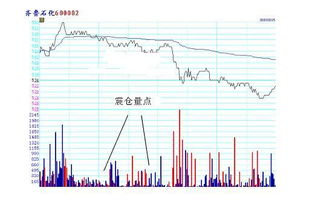 我几年前买的股票齐鲁石化怎么没有了？