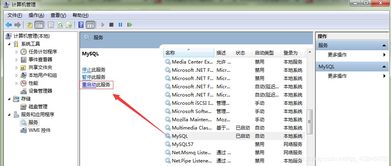 mysql编号用什么数据类型(mysql性别用什么数据类型表示)