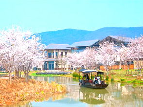 点化湾镇旅游指南点化湾镇景点介绍(无锡拈花湾附近免费停车场)