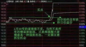 怎么能选到分时图横盘的股票