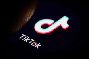 环球时报社评 审查TikTok,美国未免太极端了