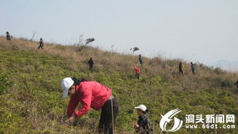 登山方案模板