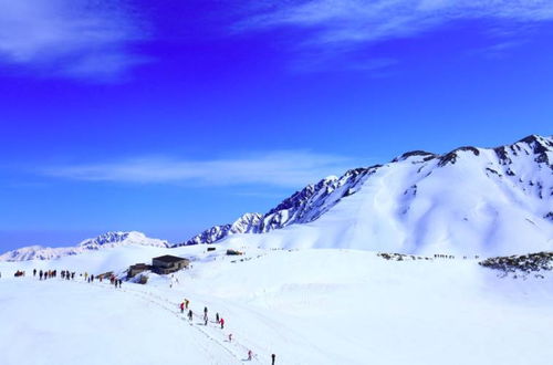 行趣 6月份依然冰天雪地 这条绝景路线怎玩 