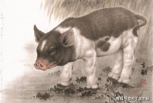 属猪摩羯座中国男演员是谁 属猪的摩羯座男明星