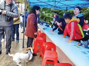 惠城开展 文明养犬行 活动 倡导文明养犬文明待犬