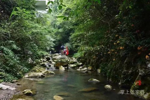 网游张家界 慈利县岩泊渡镇红土村的桃水溪