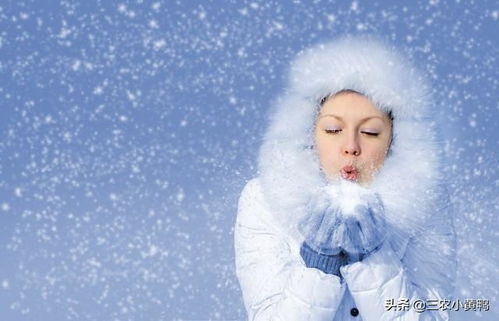 天气预报 冬季雨雪多吗 天冷吗 就看八月初八,看老祖宗怎么说