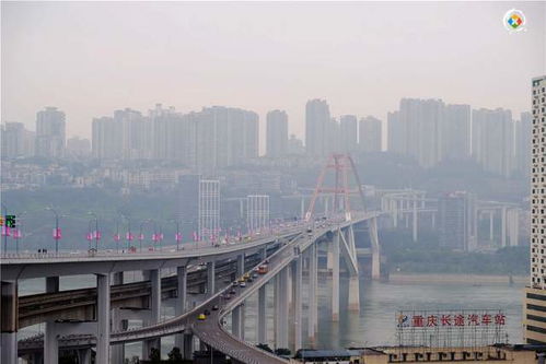 重庆主城区开通了多少大桥 官方数据30座,本地人每天都会经过