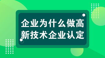 高新企业减免的是什么项目