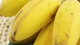 在贵州买的这种香蕉,三块钱一斤,你们那里怎么卖的