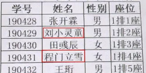 小学生因 姓名 走红,连名带姓共3笔,网友调侃太适合考试了