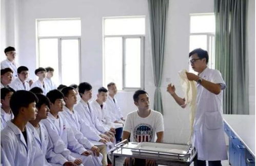 适合男生的护理学校专业,男生应该选择哪些护士学校专业?