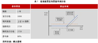 什么是股票挂钩票据?