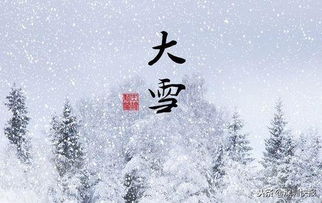 大雪 散文诗