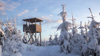 什么雪迎春到——探寻雪国之舞背后的温暖与希望，什么雪迎春到什么成语