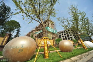 四川省划分为1市3区5县的3线城市,享有 中国水果之乡 之称