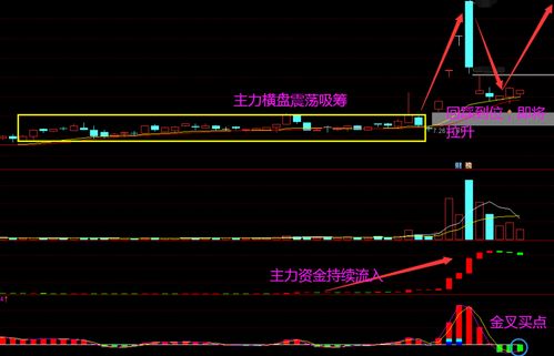 千万次验证 股价大涨前的征兆, 成交量 都会出现这类拉升信号