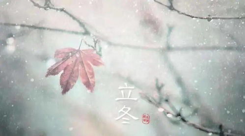 冀中医云广播 二十四节气之立冬 小雪