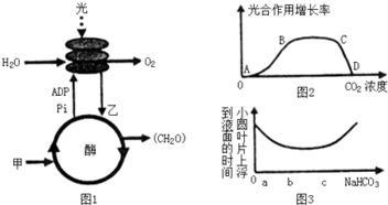 光合作用有哪些组织,绿色植物进行光合作用的主要器官是______，主要组织是______，主要细胞是______，场所是______-第2张图片