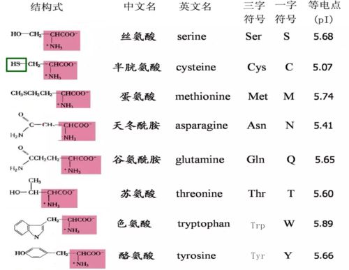 22种氨基酸中文名的由来