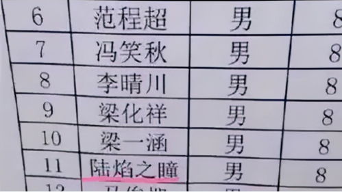 小学生因 名字 走红,连名带姓只有两笔, 四字 学生直呼羡慕