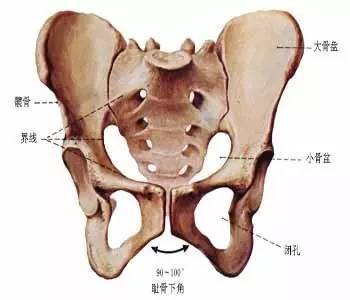 不花钱给自己做一次全身体检 实用贴