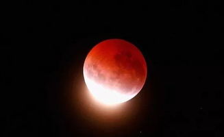 今天 152年一遇的红月亮来了,肉眼可见 但是 