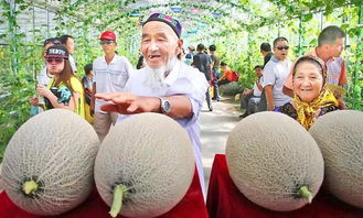 七月新疆,甜蜜之旅 第十五届哈密瓜节即将开幕