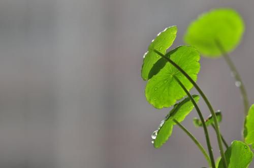 孕妇梦见自己杀人毁尸灭迹意味着什么 怎么快速毁尸灭迹