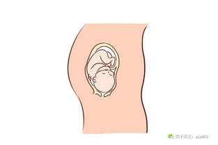 孕吐怎么缓解小妙招 怀孕两个月，吃什么吐什么，怎样可以改善呢？ 
