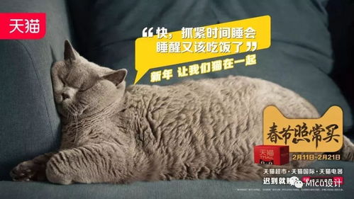 天猫猫猫币兑换物品什么时候更新,交换物更新日程表 天猫猫猫币兑换物品什么时候更新,交换物更新日程表 应用