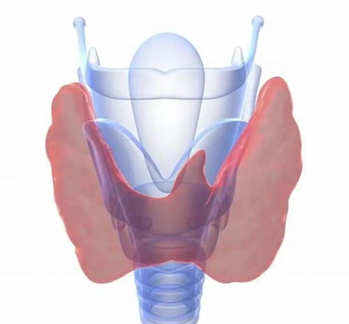 甲状腺被切除了,对身体的伤害有多大