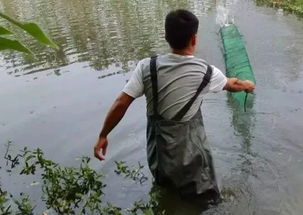 龙舟水 汛期防水浸,大家可得留神这个病了