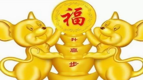 2020年十二生肖运势详解之生肖牛,天生穷不了,越老越有福 