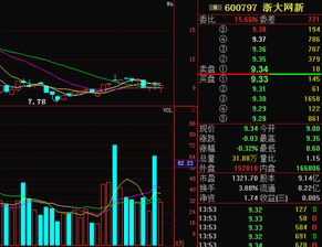 浙大网新这只股票怎么样？