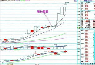 股票都说低买高卖就是赚钱,我申明什么都不懂的,那我乘现在新东方股票跌,买他的股票,持有个几年.