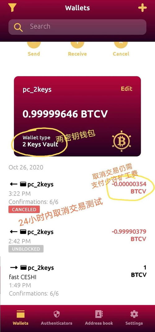 比特币测试网路,BSV-比特币SV是什么？