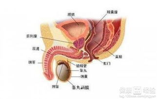 男人夏季养生的六个小常识