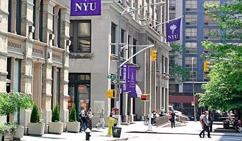 纽约大学是常春藤吗？