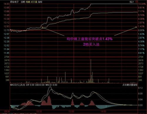 股票分时图怎么看啊，有两条线，一条是价格线，另条是什么啊