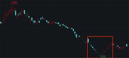 st金洲最新消息