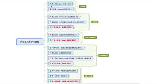 大数据开发学习路线,大数据开发学习路线概述