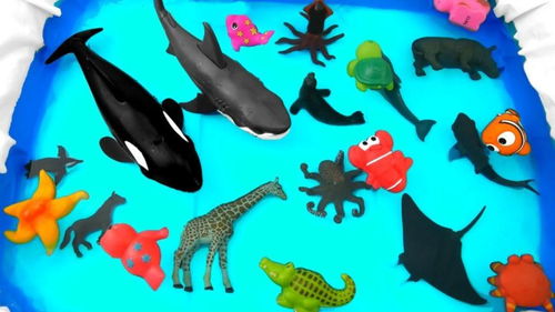陆地和海洋动物玩具介绍 